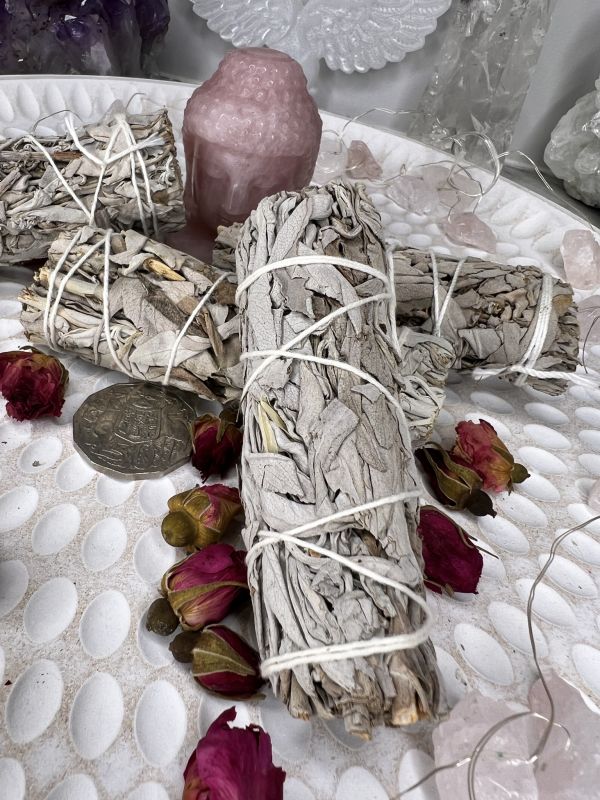 White SAGE 10 cm